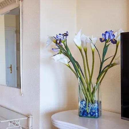 Panoramatic View In Cristianos *