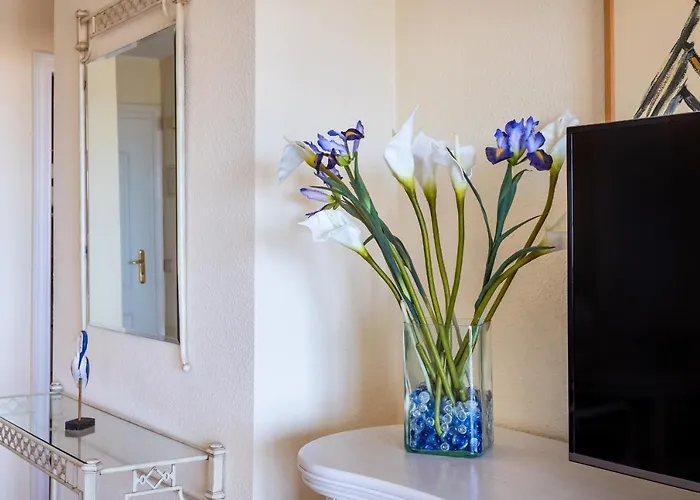 Panoramatic View In Cristianos *